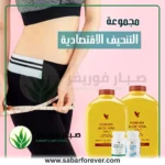 مجموعة التنحيف الاقتصادية