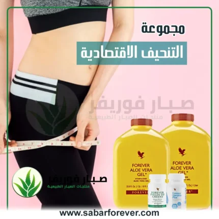 مجموعة التنحيف الاقتصادية